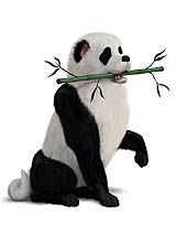 ꡼ No.004Υͥ / EA֥ॺ3 ڥåȡפ2011ǯ1020ȯ䡣ڥåȤǤϤʤڥåȤˤʤä餹ȤǤΤ