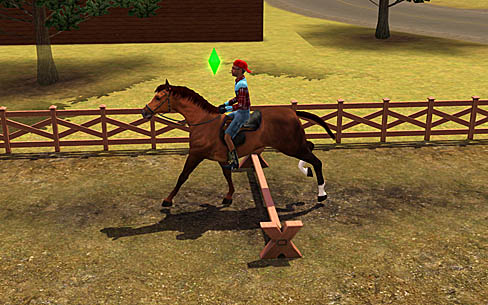 ꡼ No.005 | PR֥ۡॺ 3 ڥåȡפǡڥåȤΤ˭餷򡣥쥯ȥ˥åĤȯ䤵줿꡼ǿ̥ϤҲ