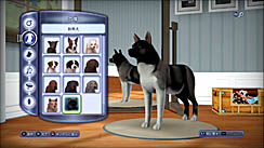 ꡼ No.007 | PR֥ۡॺ 3 ڥåȡפǡڥåȤΤ˭餷򡣥쥯ȥ˥åĤȯ䤵줿꡼ǿ̥ϤҲ