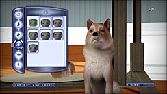 ꡼ No.016 | PR֥ۡॺ 3 ڥåȡפǡڥåȤΤ˭餷򡣥쥯ȥ˥åĤȯ䤵줿꡼ǿ̥ϤҲ