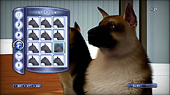 ꡼ No.017 | PR֥ۡॺ 3 ڥåȡפǡڥåȤΤ˭餷򡣥쥯ȥ˥åĤȯ䤵줿꡼ǿ̥ϤҲ