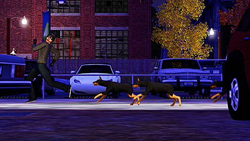 ꡼ No.020 | PR֥ۡॺ 3 ڥåȡפǡڥåȤΤ˭餷򡣥쥯ȥ˥åĤȯ䤵줿꡼ǿ̥ϤҲ