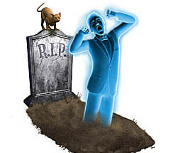 ꡼ No.022 | PR֥ۡॺ 3 ڥåȡפǡڥåȤΤ˭餷򡣥쥯ȥ˥åĤȯ䤵줿꡼ǿ̥ϤҲ