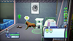 ꡼ No.030 | PR֥ۡॺ 3 ڥåȡפǡڥåȤΤ˭餷򡣥쥯ȥ˥åĤȯ䤵줿꡼ǿ̥ϤҲ