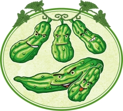 ꡼ No.003Υͥ / ܡɥ5ܤΥ奦ס֥󥯥ϥ󥿡 2 פ4ȯ