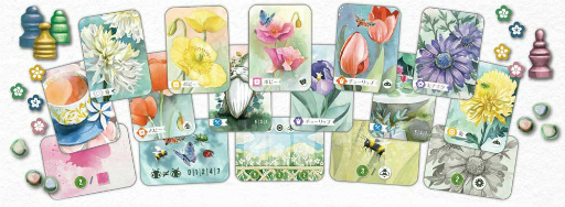 ꡼ No.003Υͥ / ֺ餯ǵ򡣡֥եե饹 ɥפȯ