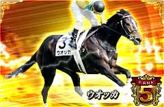 ���������꡼ No.004�Υ���ͥ������ / �ֶ��ϥ����˥���ס�������񤤤ơȰ��Ӥβ�ʪ��EX�����ꥭ��åפ����ꤷ�褦