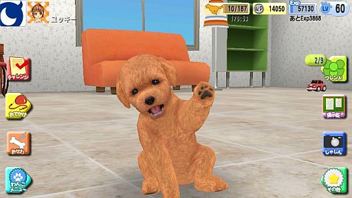 画像ギャラリー No.001のサムネイル画像 / Mobageで配信中の育成ゲーム「わんこのじかん」,iOS版をリリース