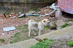 ꡼ No.020Υͥ / World of Warshipsפ륹Τ볹󥯥ȥڥƥ֥륯ǹԤ줿׺ɥĥפͤݡ