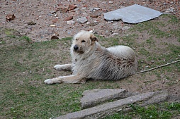 ꡼ No.035Υͥ / World of Warshipsפ륹Τ볹󥯥ȥڥƥ֥륯ǹԤ줿׺ɥĥפͤݡ