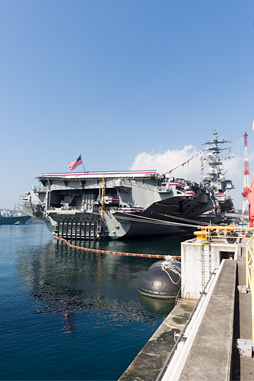 ���������꡼ No.005�Υ���ͥ������ / �Ƴ����θ����϶���֥��ʥ�ɡ��졼����װ��̸�����ݡ���