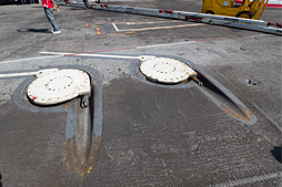 ���������꡼ No.010�Υ���ͥ������ / �Ƴ����θ����϶���֥��ʥ�ɡ��졼����װ��̸�����ݡ���