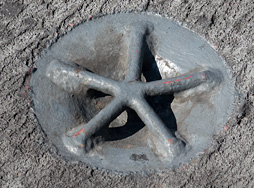 ���������꡼ No.013�Υ���ͥ������ / �Ƴ����θ����϶���֥��ʥ�ɡ��졼����װ��̸�����ݡ���