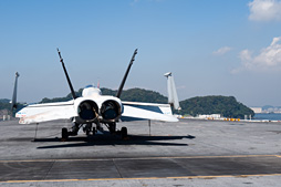 ���������꡼ No.019�Υ���ͥ������ / �Ƴ����θ����϶���֥��ʥ�ɡ��졼����װ��̸�����ݡ���