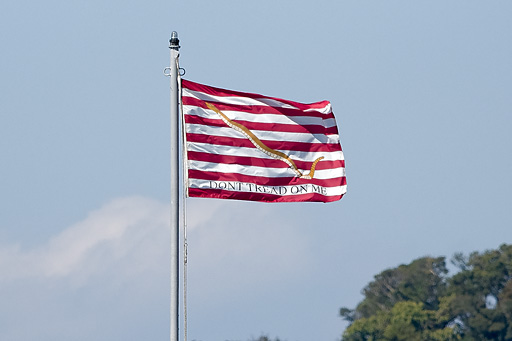 ���������꡼ No.021�Υ���ͥ������ / �Ƴ����θ����϶���֥��ʥ�ɡ��졼����װ��̸�����ݡ���