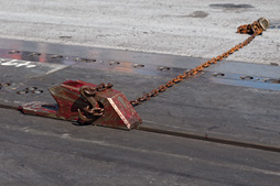 ���������꡼ No.046�Υ���ͥ������ / �Ƴ����θ����϶���֥��ʥ�ɡ��졼����װ��̸�����ݡ���