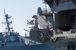 ���������꡼ No.047�Υ���ͥ������ / �Ƴ����θ����϶���֥��ʥ�ɡ��졼����װ��̸�����ݡ���