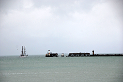 ꡼ No.018 | ޡ󥱥륯ǮġĤ褦ʵΤǡʪΥ󥱥륯عԤäƤߤ