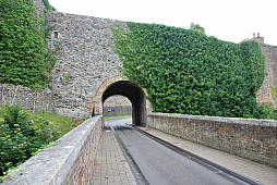 ꡼ No.037 | ޡ󥱥륯ǮġĤ褦ʵΤǡʪΥ󥱥륯عԤäƤߤ