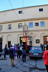 ꡼ No.002 | 󥯥ȥڥƥ֥륯ˤ֥ȡɥࡦߥ塼פȽδϡ֥פΥեȥݡȤϤ