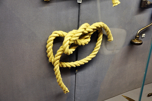 ꡼ No.084 | 󥯥ȥڥƥ֥륯ˤ֥ȡɥࡦߥ塼פȽδϡ֥פΥեȥݡȤϤ