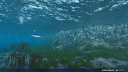 ꡼ No.001Υͥ / World of Warshipsסǿåץǡȡ0.1010ɤ»ܡĶɲä줿ۤեå˲