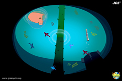 ꡼ No.003 | īȾˤDMZӡˤơޤˤꥢNANU PLANETפڹǸ