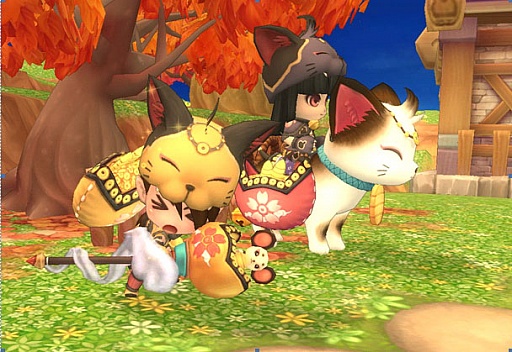 ꡼ No.005 | ʪפ緿åץǡȡ֤ȿΥϡˡס9ʹߤ˼뿷Ǥθ