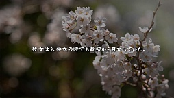 ꡼ No.005 | ֿޤסɲDLC1ơֺԡס֤ߤ椭ȥȥԡפۿ