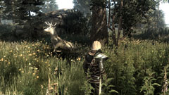 ꡼ No.006 | ٤RPGTwo Worlds 2פγĥѥåˤϥǥåѤμо