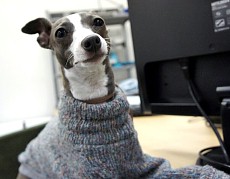 画像ギャラリー No.004のサムネイル画像 / マフィア梶田の二次元が来い!:第92回「電脳生放送倫理にもとづいた怪盗R指定」