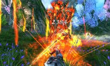 ꡼ No.013Υͥ / ֥ɥ֥٥ꥪפΥɦ¥ƥ罸μդ961500ϡȡ꡼䥲ħʤɤǧƤ