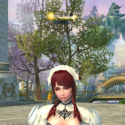 ���������꡼ No.003�Υ���ͥ������ / �֥����ɥ��֥�٥ꥪ��ץ������Ϥ��ȥ����ƥ�ͤ��碌����館��