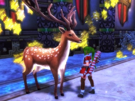 ���������꡼ No.001�Υ���ͥ������ / �֥����ɥ��֥�٥ꥪ��ס����ָ���Ρȥ��ꥹ�ޥ����٥�ȡɤ�2��14�����鳫��