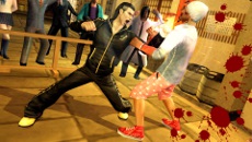 ���������꡼ No.009�Υ���ͥ������ / �֥����ҥ祦2 ζ��ǡ�� �������ԡס����о�ΥХȥ륹������䡤�����롤�Хȥ�ܡ��ʥ��˴ؤ�����󤬸�����