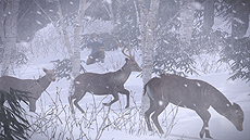 ���������꡼ No.005�Υ���ͥ������ / ��ζ��ǡ��5��̴���𤨤��ԡ׺ǿ����󡣺�����ϤΥ��ʥ����ɥ�ޤϡ��˴����㻳������Ȥ������Υ��Х��Х�ּ��ĤȻ�٤��