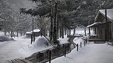 ���������꡼ No.009�Υ���ͥ������ / ��ζ��ǡ��5��̴���𤨤��ԡ׺ǿ����󡣺�����ϤΥ��ʥ����ɥ�ޤϡ��˴����㻳������Ȥ������Υ��Х��Х�ּ��ĤȻ�٤��