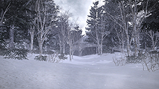 ���������꡼ No.010�Υ���ͥ������ / ��ζ��ǡ��5��̴���𤨤��ԡ׺ǿ����󡣺�����ϤΥ��ʥ����ɥ�ޤϡ��˴����㻳������Ȥ������Υ��Х��Х�ּ��ĤȻ�٤��