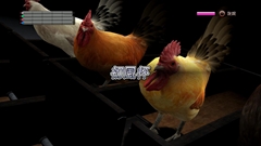 ꡼ No.048 | ߤܻؤƾ³ѤϤޤζɤǡζǡ5̴𤨤ԡפΥӥ塼Ǻܡ4ͤˤ1ͤξΡ̴ɤιԤȤϡ