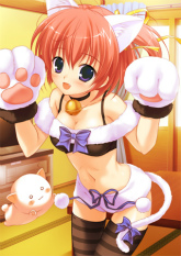 ���������꡼ No.001�Υ���ͥ������ / �֤���ͤ��פ�Ź���̹�����ŵ���饹�Ȥ������������������������