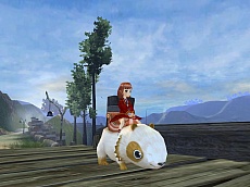 ꡼ No.004 | Ƴرڥ󥵡סɦ¥ƥ3000̾ɲ罸Ƴڥåȡפξ