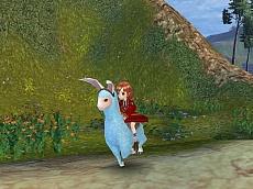 ꡼ No.007 | Ƴرڥ󥵡סɦ¥ƥ3000̾ɲ罸Ƴڥåȡפξ