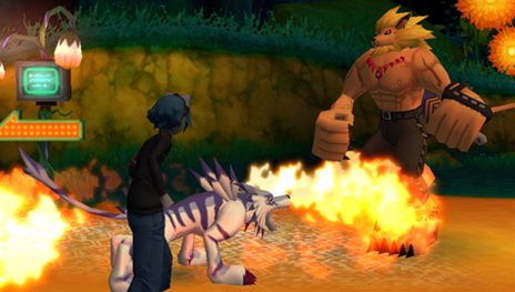 ���������꡼ No.013�Υ���ͥ������ / �֥ǥ������� �ꡧ�ǥ��������ץǥ����ΰ����˷礫���ʤ��֥ȥ졼�˥󥰥���פ�³��䡤��͸�ã���Ԥ�������ǥ����ʤɤ�Ҳ�