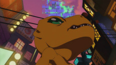 ꡼ No.007 | ֥ǥ ꡧǥפΥХȥϥꥢ륿ȥǥɤȤаɬξѲǽ