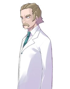 ꡼ No.014 | ֥ǥ ꡧǥץȡ꡼θ򰮤ʪ䡤͸˽ݤäƤ̿Τξ󤬸