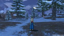 画像ギャラリー No.008のサムネイル画像 / Wii「ドラゴンクエストX 目覚めし五つの種族 オンライン」とはどのようなオンラインRPGなのか。ベータテストのプレイレポートを掲載