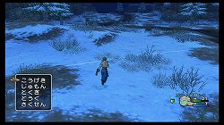 画像ギャラリー No.012のサムネイル画像 / Wii「ドラゴンクエストX 目覚めし五つの種族 オンライン」とはどのようなオンラインRPGなのか。ベータテストのプレイレポートを掲載