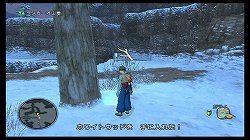 画像ギャラリー No.017のサムネイル画像 / Wii「ドラゴンクエストX 目覚めし五つの種族 オンライン」とはどのようなオンラインRPGなのか。ベータテストのプレイレポートを掲載