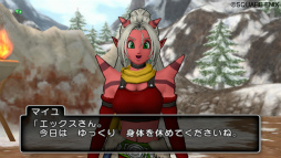 画像ギャラリー No.020のサムネイル画像 / 「ドラゴンクエストX」は,「バージョン1.3」でどう変わる? アップデートの見どころとWii U版のサービスインについて,齊藤陽介氏と藤澤 仁氏に聞いてみた