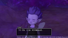 画像ギャラリー No.002のサムネイル画像 / 「ドラゴンクエストX」，連続クエスト「暗黒大樹の守り人」の第2話を本日配信